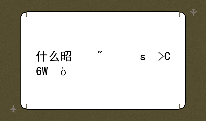 什么是船东提单？