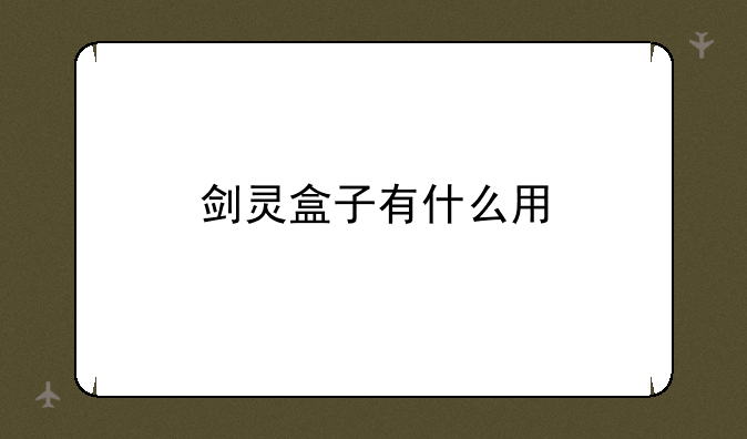 剑灵盒子有什么用