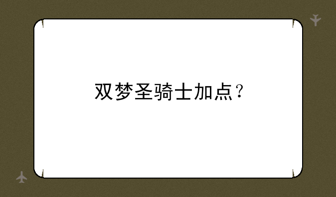 双梦圣骑士加点？