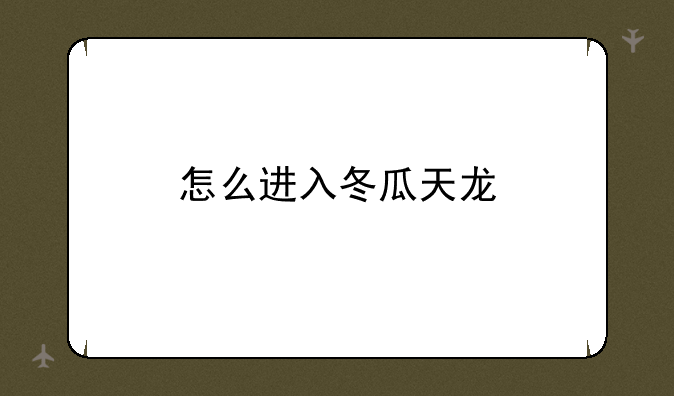 怎么进入冬瓜天龙
