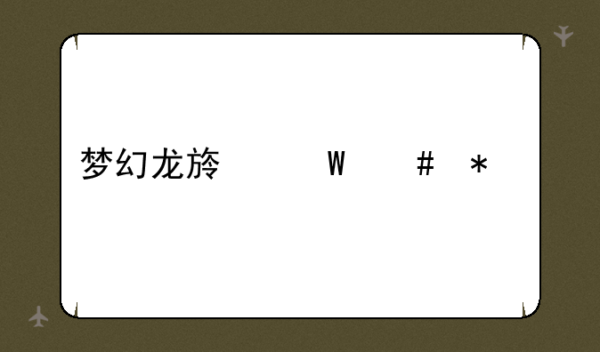 梦幻龙族法师加点