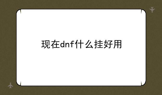 现在dnf什么挂好用