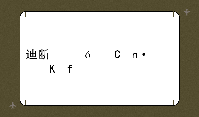 迪斯尼乐园大冒险