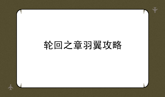轮回之章羽翼攻略