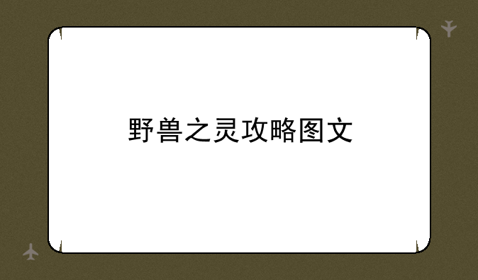 野兽之灵攻略图文