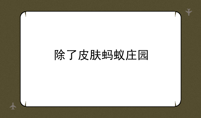 除了皮肤蚂蚁庄园