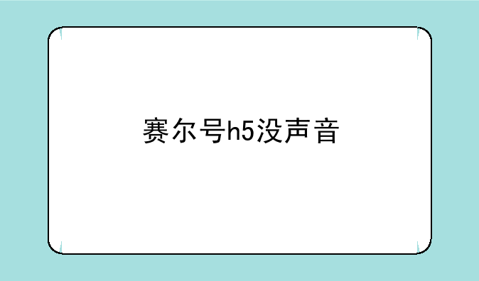 赛尔号h5没声音