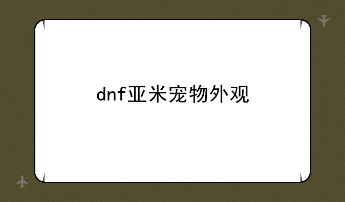 dnf亚米宠物外观