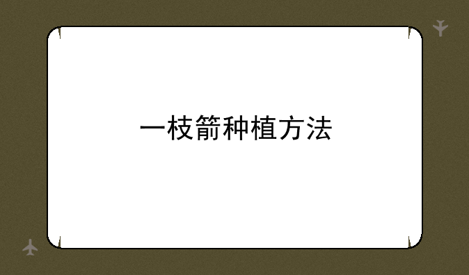 一枝箭种植方法
