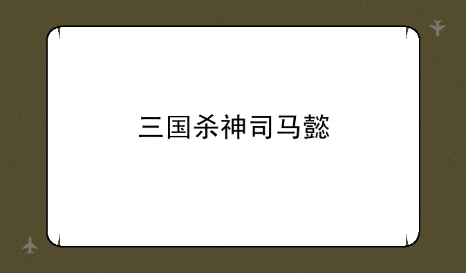 三国杀神司马懿
