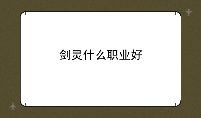 剑灵什么职业好