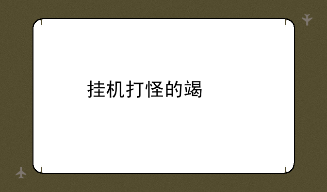挂机打怪的端游