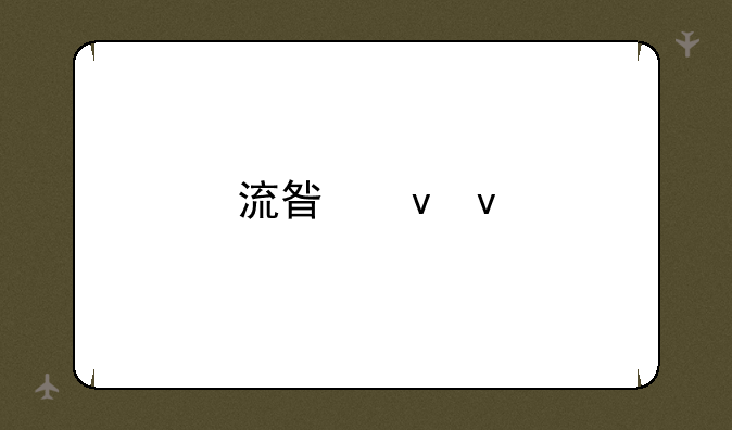 流星蝴蝶剑补丁