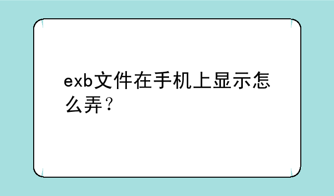 exb文件在手机上显示怎么弄？