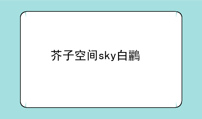 芥子空间sky白鸟版怎么玩不了