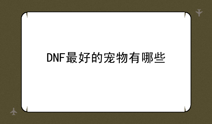 DNF最好的宠物有哪些