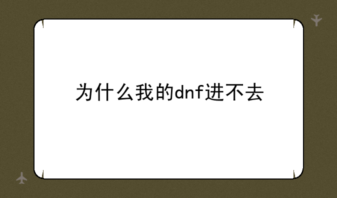 为什么我的dnf进不去