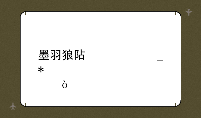 墨羽狼阿修罗加点？