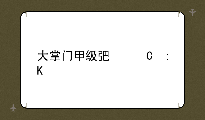 大掌门甲级弟子排行