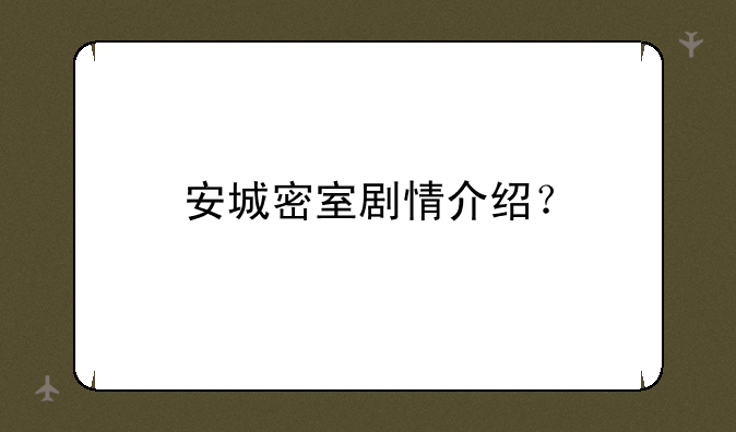安城密室剧情介绍？