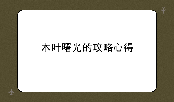 木叶曙光的攻略心得
