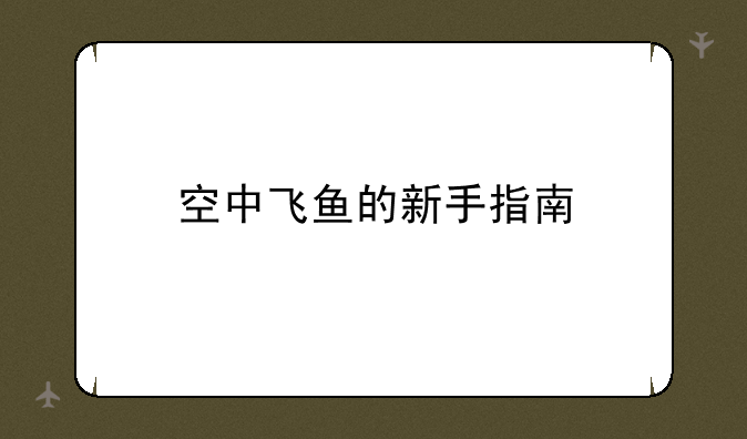 空中飞鱼的新手指南