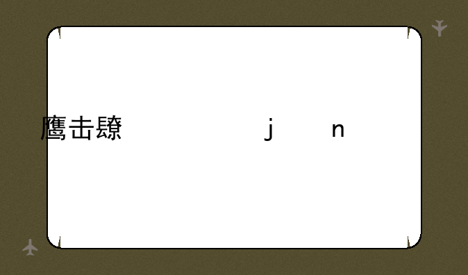 鹰击长空的相关续作