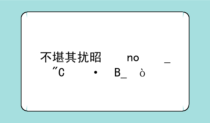 不堪其扰是四字成语吗？