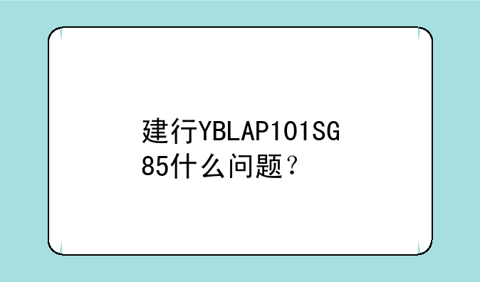 建行YBLAP101SG85什么问题？