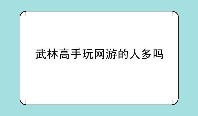 武林高手玩网游的人多吗