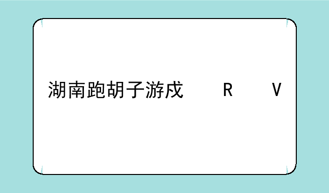 湖南跑胡子游戏攻略大全