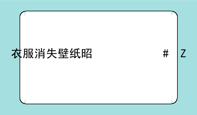 衣服消失壁纸是什么文件