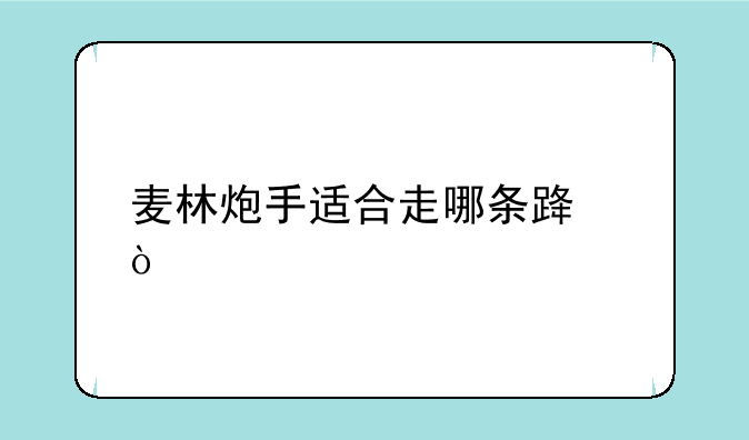 麦林炮手适合走哪条路？