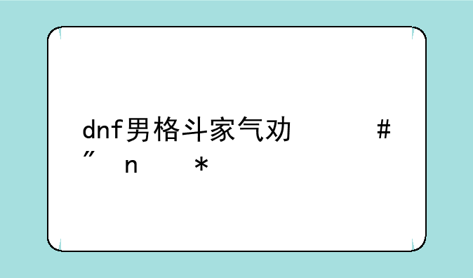 dnf男格斗家气功师刷图加点