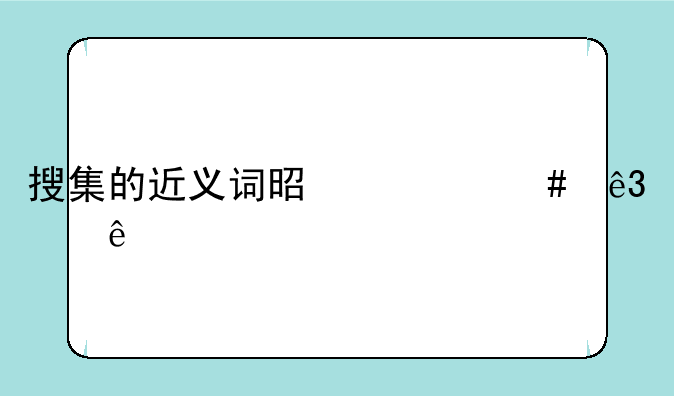 搜集的近义词是什么二年级