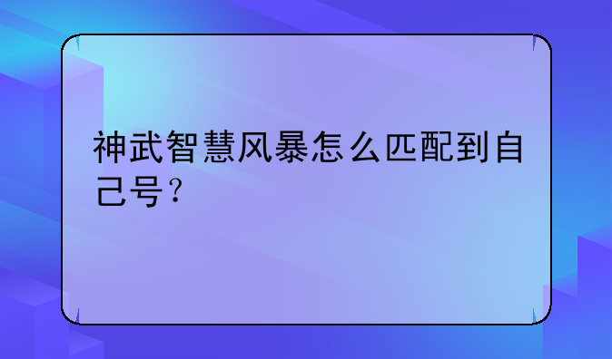 神武智慧风暴怎么匹配到自己号？
