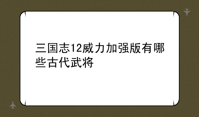 三国志12威力加强版有哪些古代武将