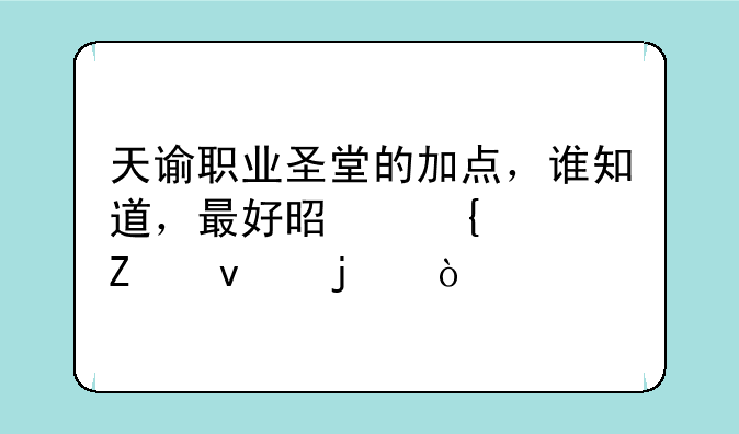 天谕职业圣堂的加点，谁知道，最好是属性方面的？
