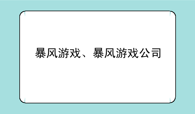 暴风游戏、暴风游戏公司