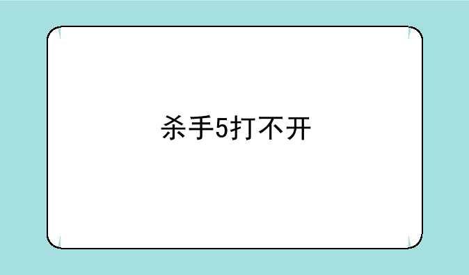 杀手5打不开