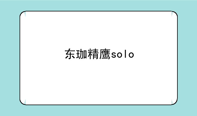 东珈精鹰solo
