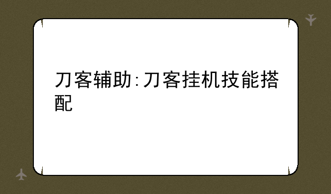 刀客辅助:刀客挂机技能搭配